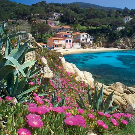 La Gabbianella